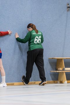 Bild 45 - F HSG Pinnau2 - Rellinger TV2 : Ergebnis: 27:20